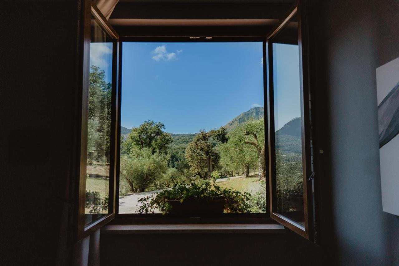 Tenuta Terre Di Bosco Oasi Di Relax Nel Cilento Сан-Джованні-а-Піро Екстер'єр фото